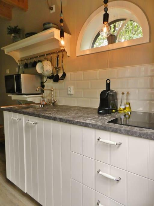 Tiny House Tholen Villa Kültér fotó