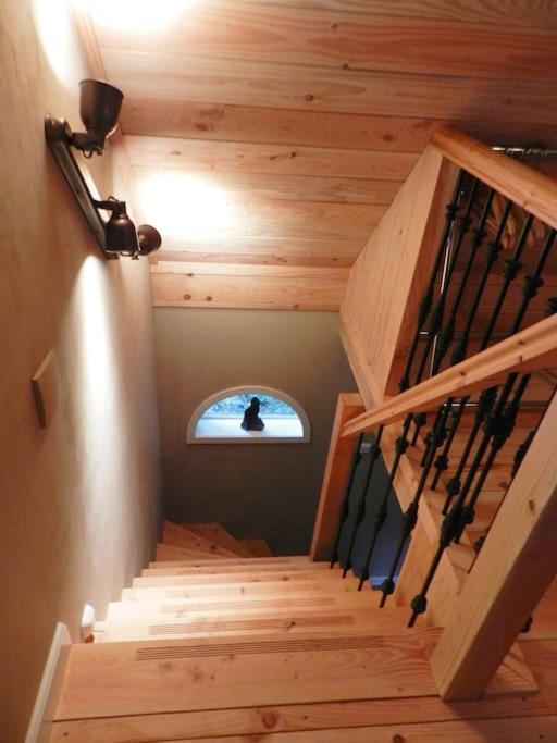 Tiny House Tholen Villa Kültér fotó