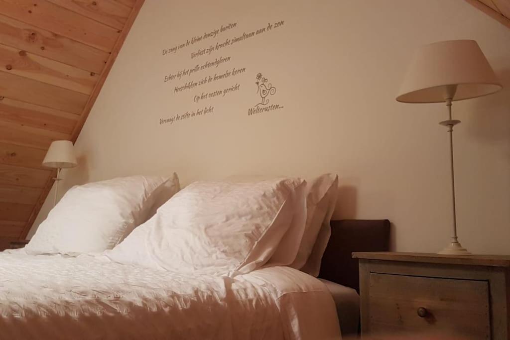 Tiny House Tholen Villa Kültér fotó